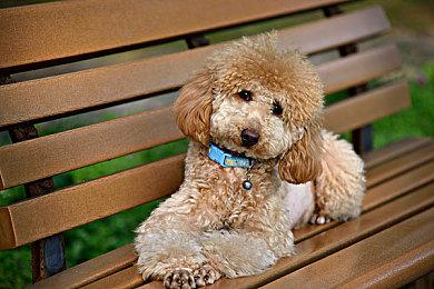 Steam秋季特惠 《赛博朋克2077》登顶全球最畅销游戏